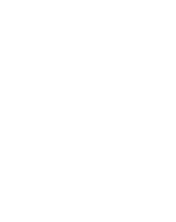 Dandy Health & Wellness